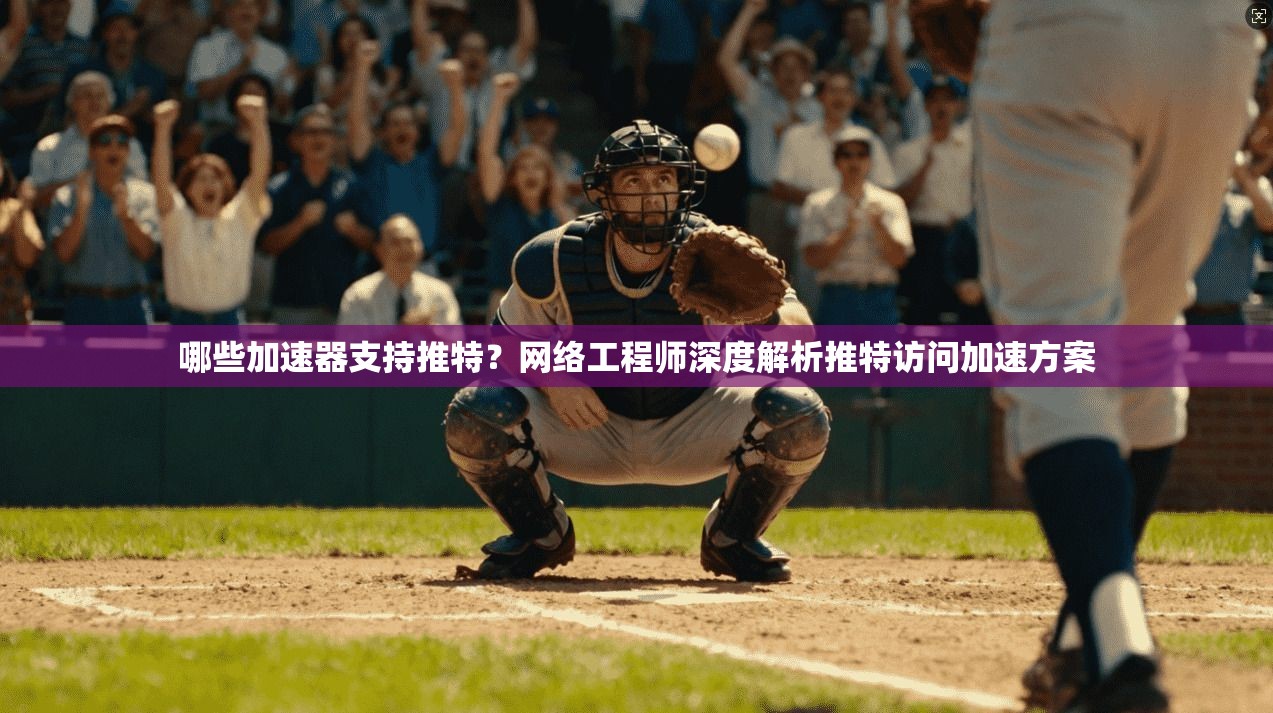 哪些加速器支持推特？网络工程师深度解析推特访问加速方案
