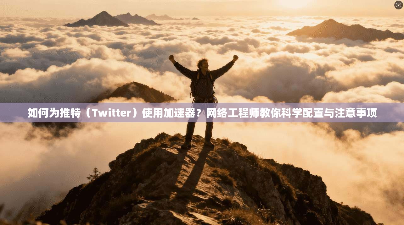 如何为推特（Twitter）使用加速器？网络工程师教你科学配置与注意事项
