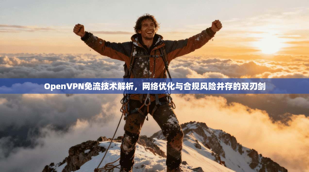 OpenVPN免流技术解析，网络优化与合规风险并存的双刃剑