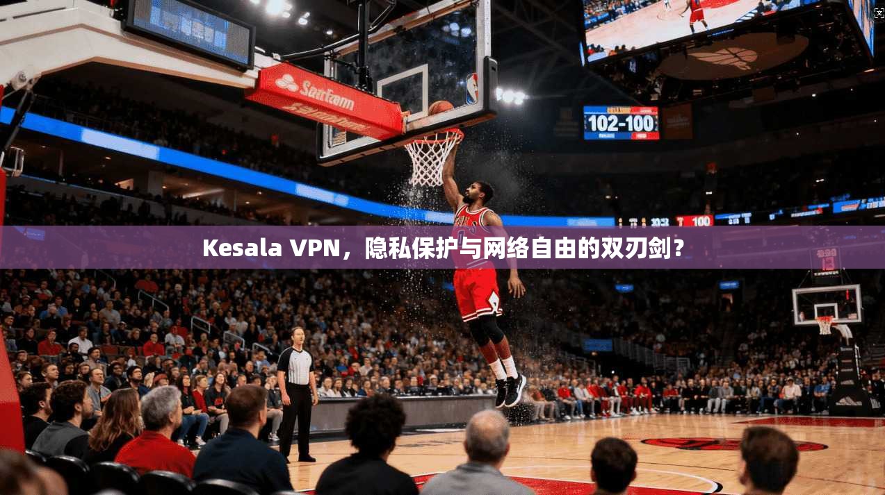 Kesala VPN，隐私保护与网络自由的双刃剑？