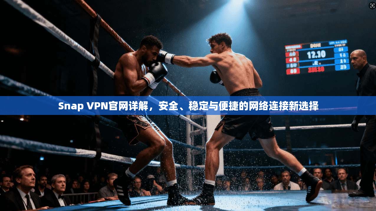 Snap VPN官网详解，安全、稳定与便捷的网络连接新选择