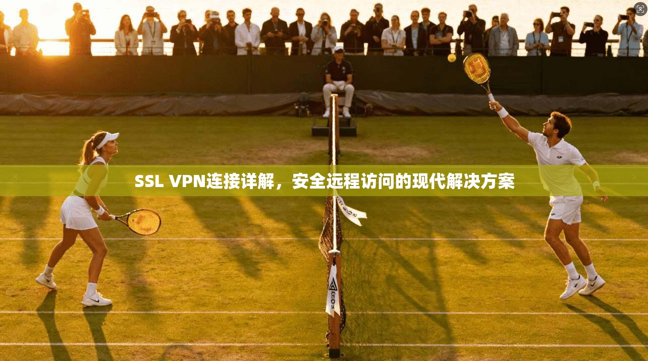 SSL VPN连接详解，安全远程访问的现代解决方案