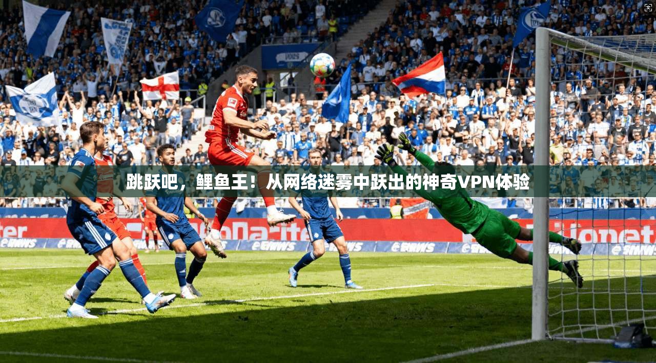 跳跃吧，鲤鱼王！从网络迷雾中跃出的神奇VPN体验