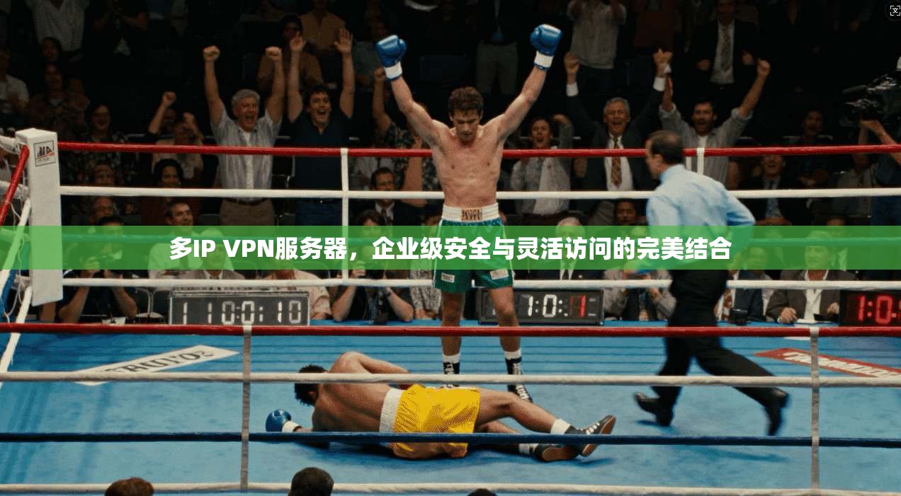 多IP VPN服务器，企业级安全与灵活访问的完美结合
