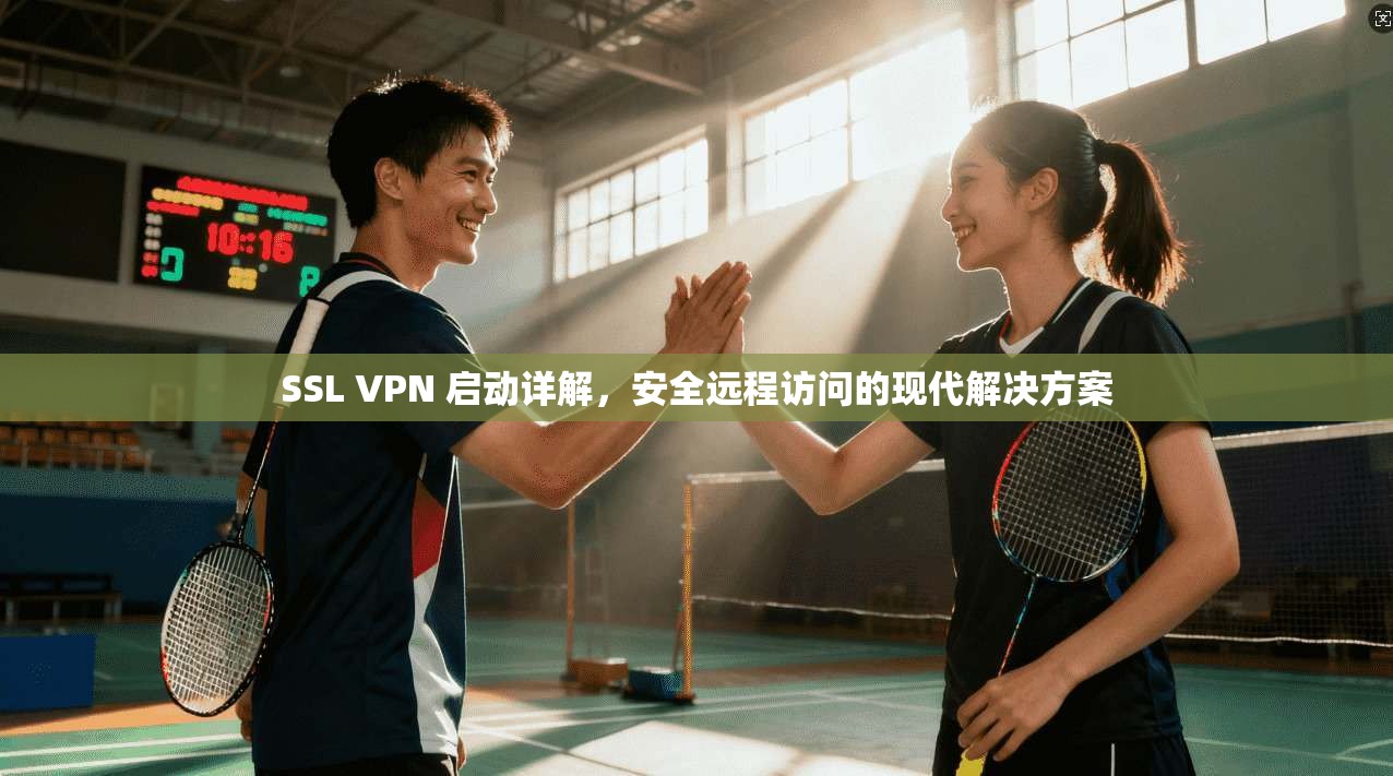 SSL VPN 启动详解，安全远程访问的现代解决方案