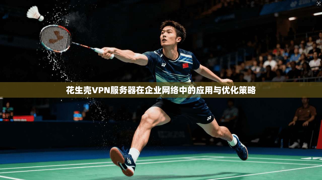 花生壳VPN服务器在企业网络中的应用与优化策略