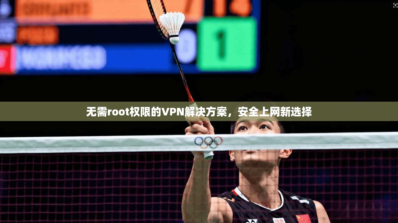无需root权限的VPN解决方案，安全上网新选择