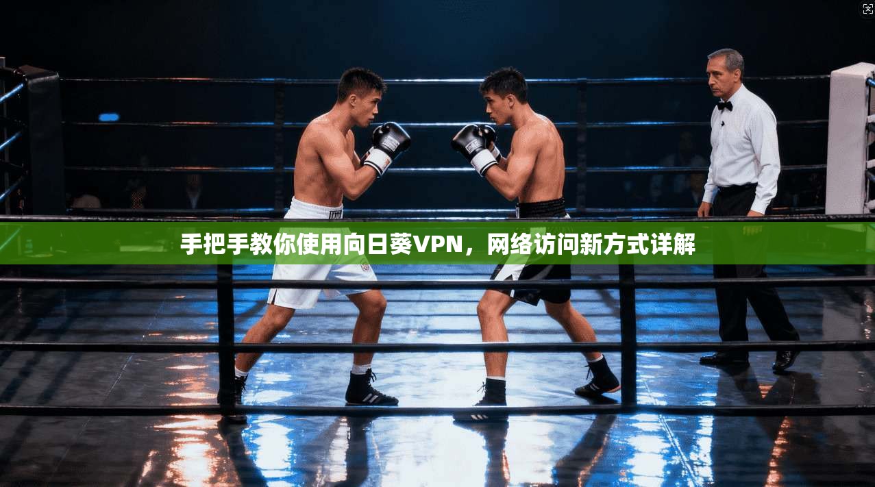 手把手教你使用向日葵VPN，网络访问新方式详解