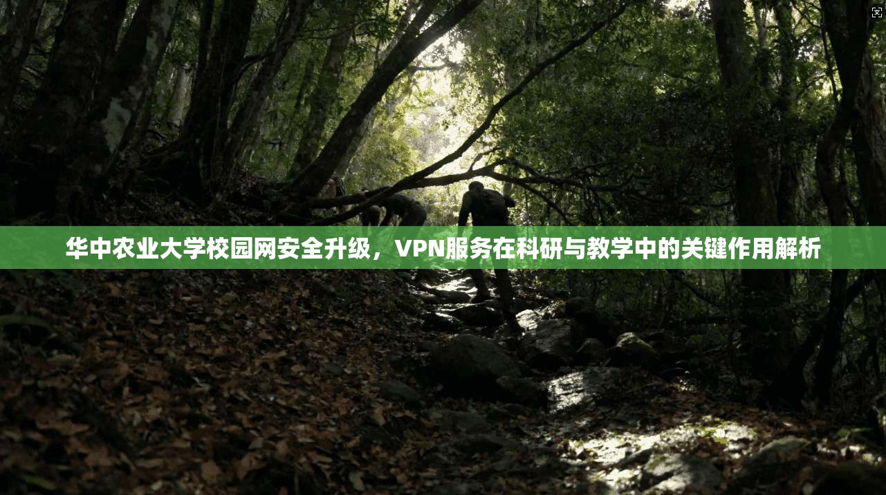 华中农业大学校园网安全升级，VPN服务在科研与教学中的关键作用解析