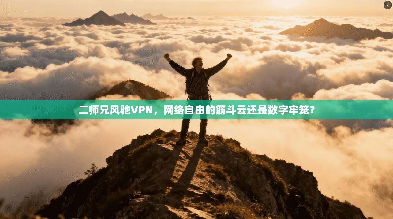 二师兄风驰VPN，网络自由的筋斗云还是数字牢笼？
