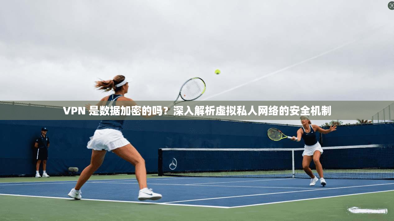 VPN 是数据加密的吗？深入解析虚拟私人网络的安全机制