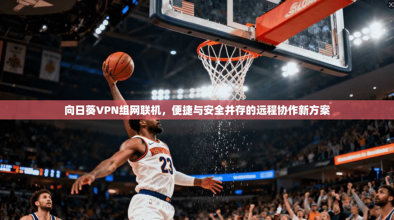 向日葵VPN组网联机，便捷与安全并存的远程协作新方案