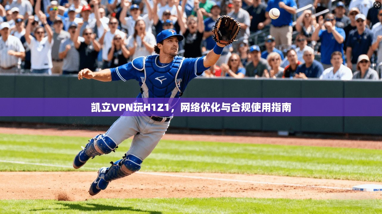 凯立VPN玩H1Z1，网络优化与合规使用指南