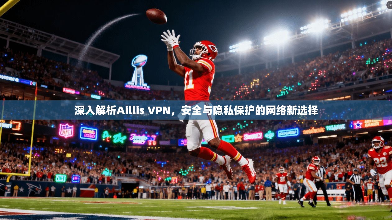 深入解析Aillis VPN，安全与隐私保护的网络新选择