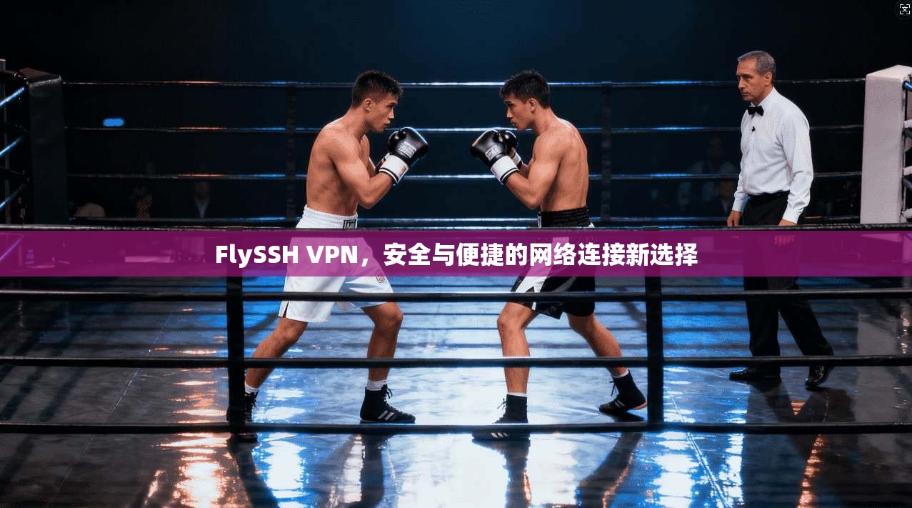 FlySSH VPN，安全与便捷的网络连接新选择