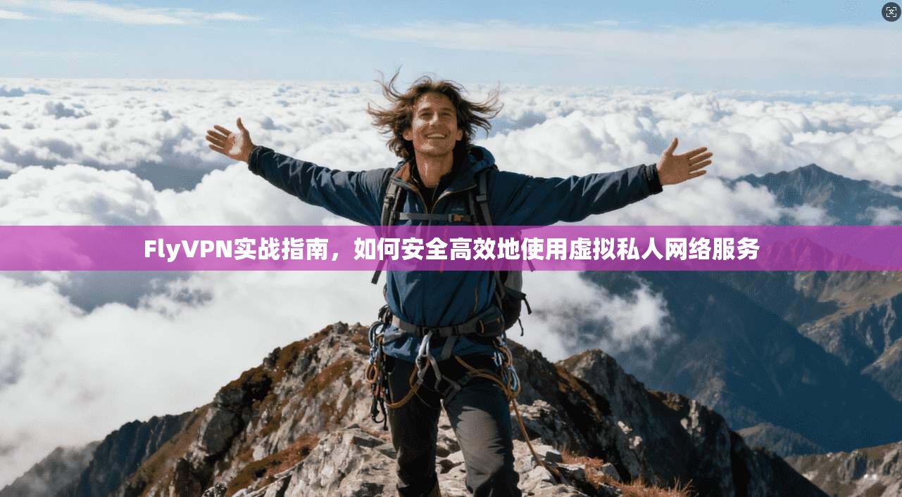 FlyVPN实战指南,如何安全高效地使用虚拟私人网络服务