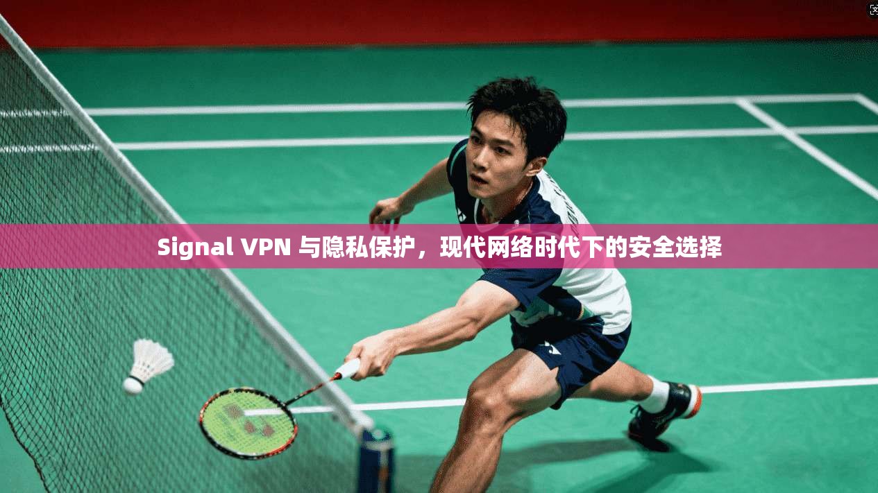 Signal VPN 与隐私保护，现代网络时代下的安全选择
