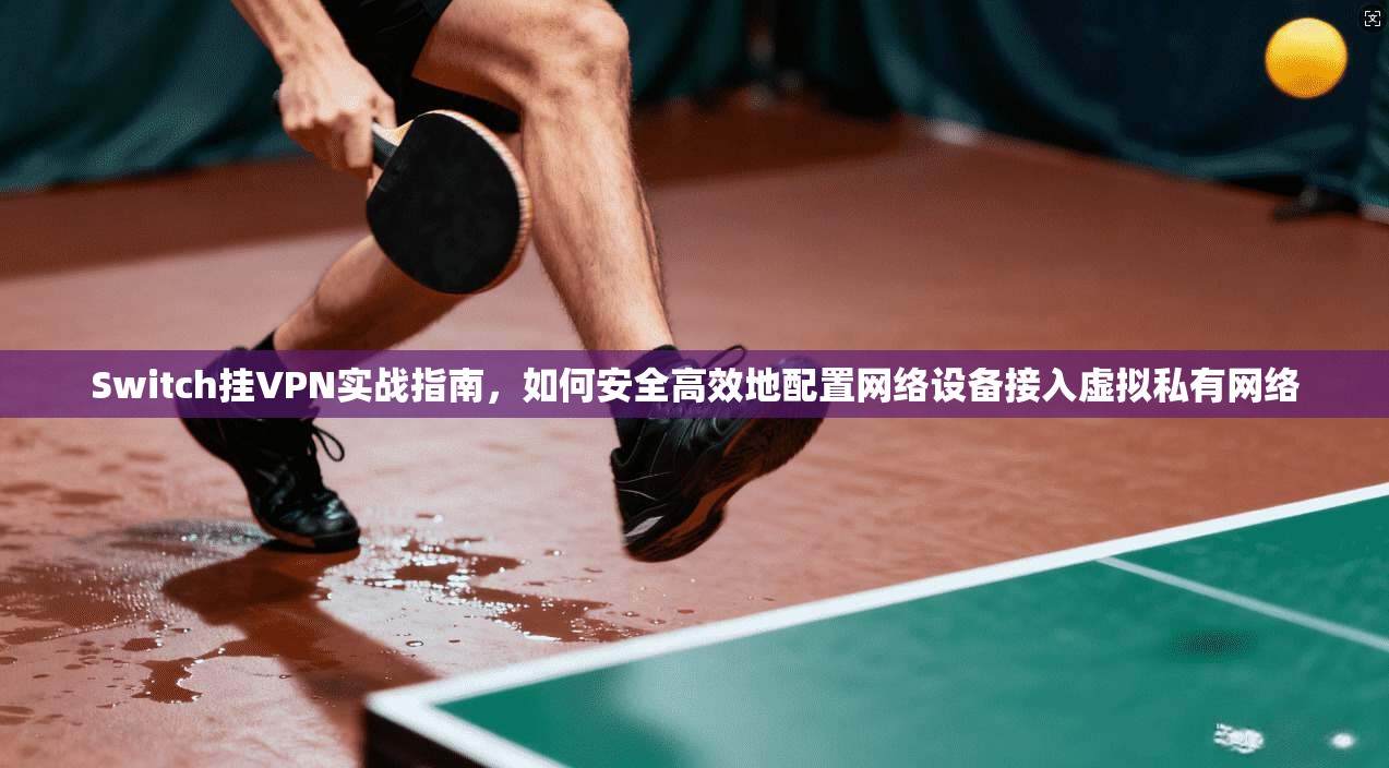 Switch挂VPN实战指南，如何安全高效地配置网络设备接入虚拟私有网络