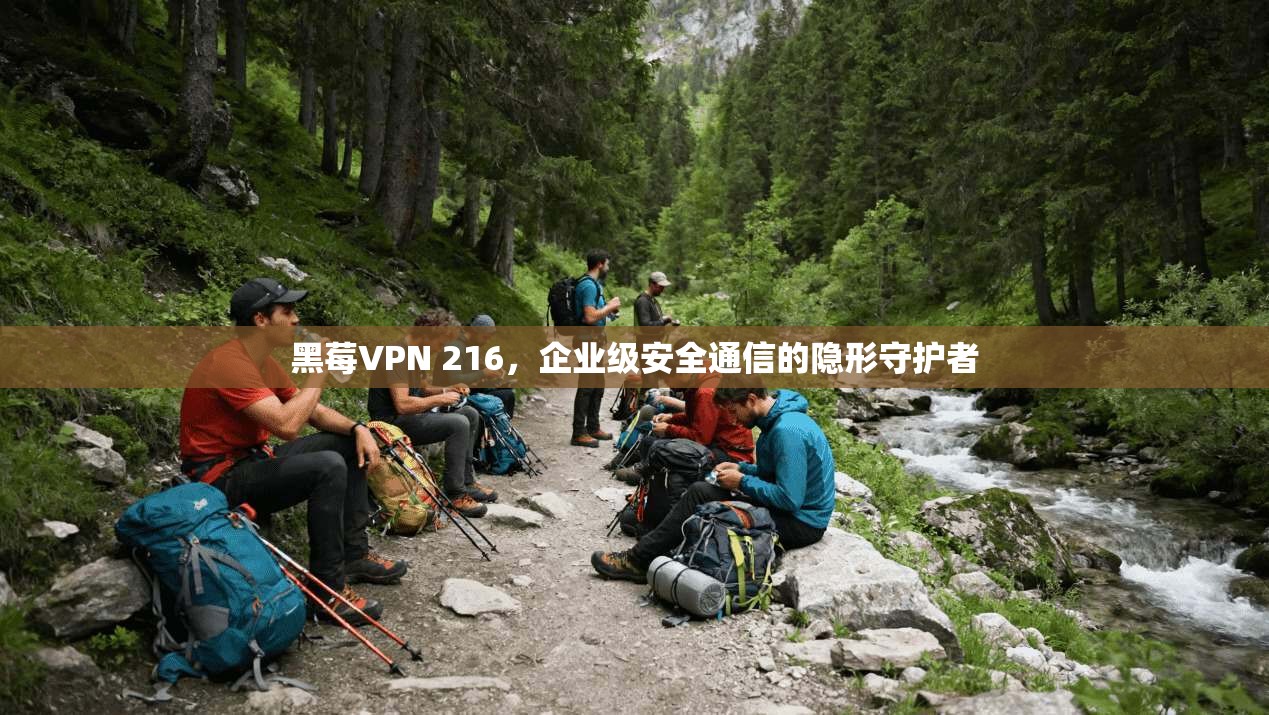 黑莓VPN 216，企业级安全通信的隐形守护者