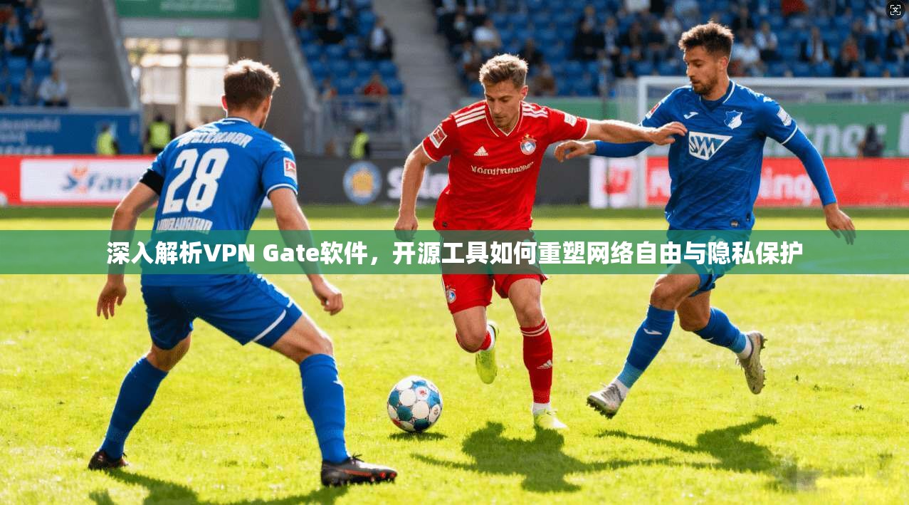 深入解析VPN Gate软件，开源工具如何重塑网络自由与隐私保护
