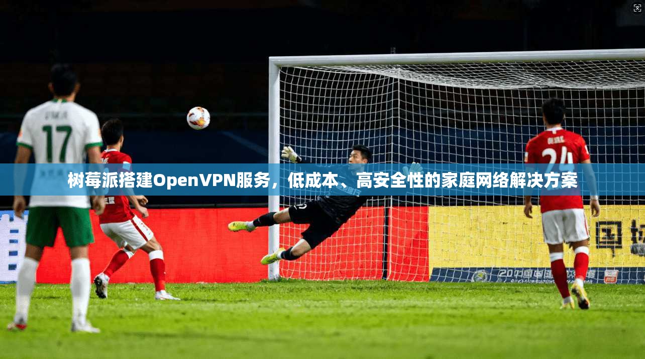 树莓派搭建OpenVPN服务，低成本、高安全性的家庭网络解决方案