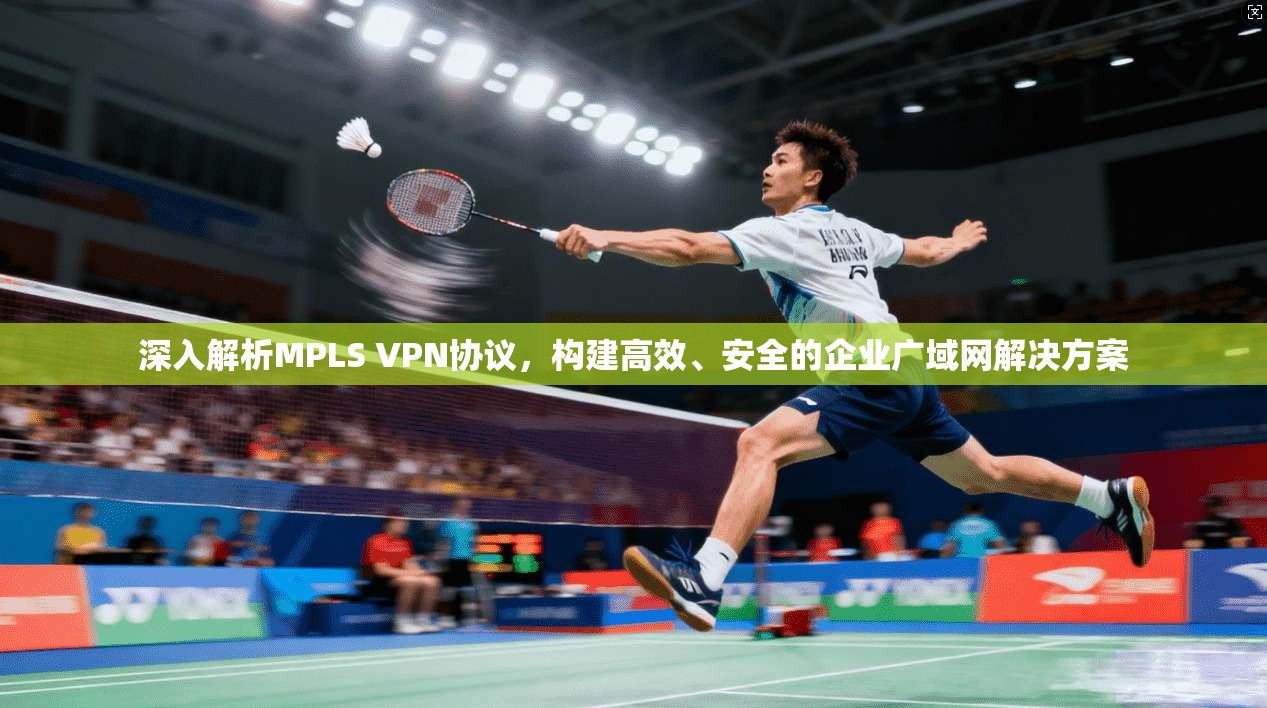 深入解析MPLS VPN协议，构建高效、安全的企业广域网解决方案