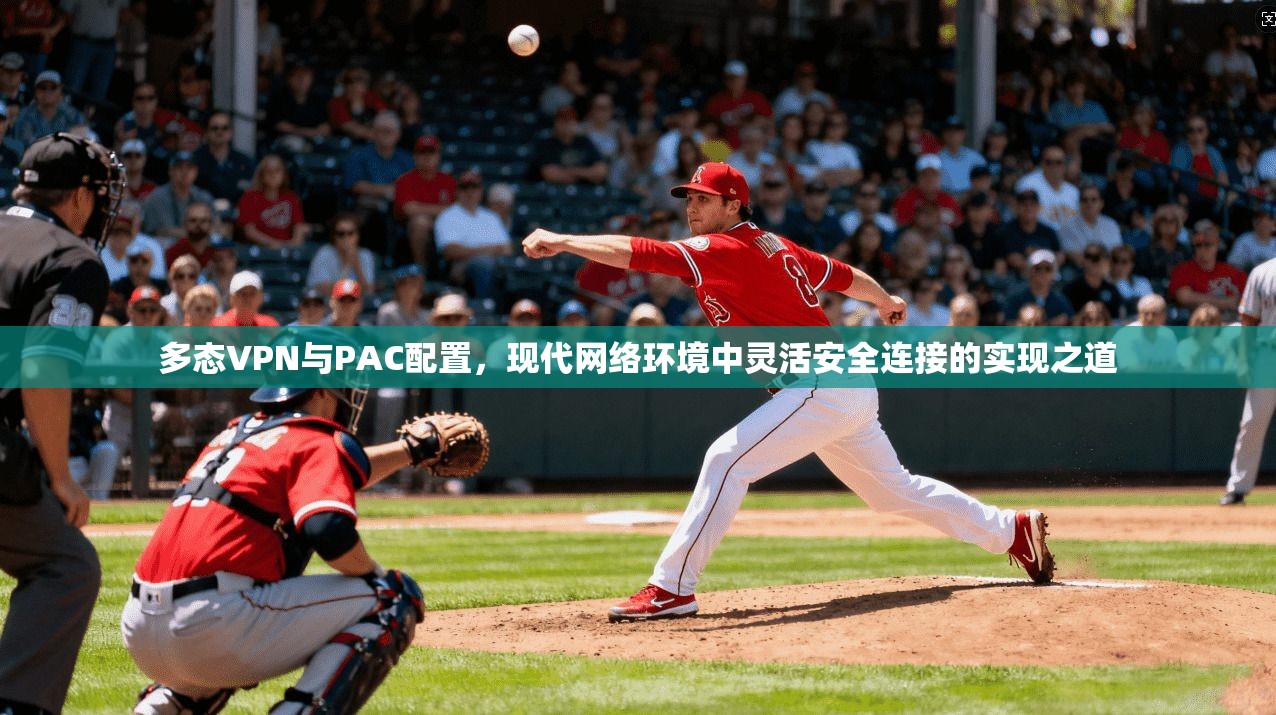 多态VPN与PAC配置，现代网络环境中灵活安全连接的实现之道