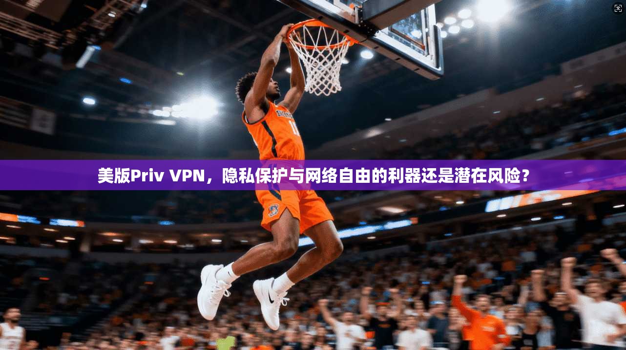 美版Priv VPN，隐私保护与网络自由的利器还是潜在风险？