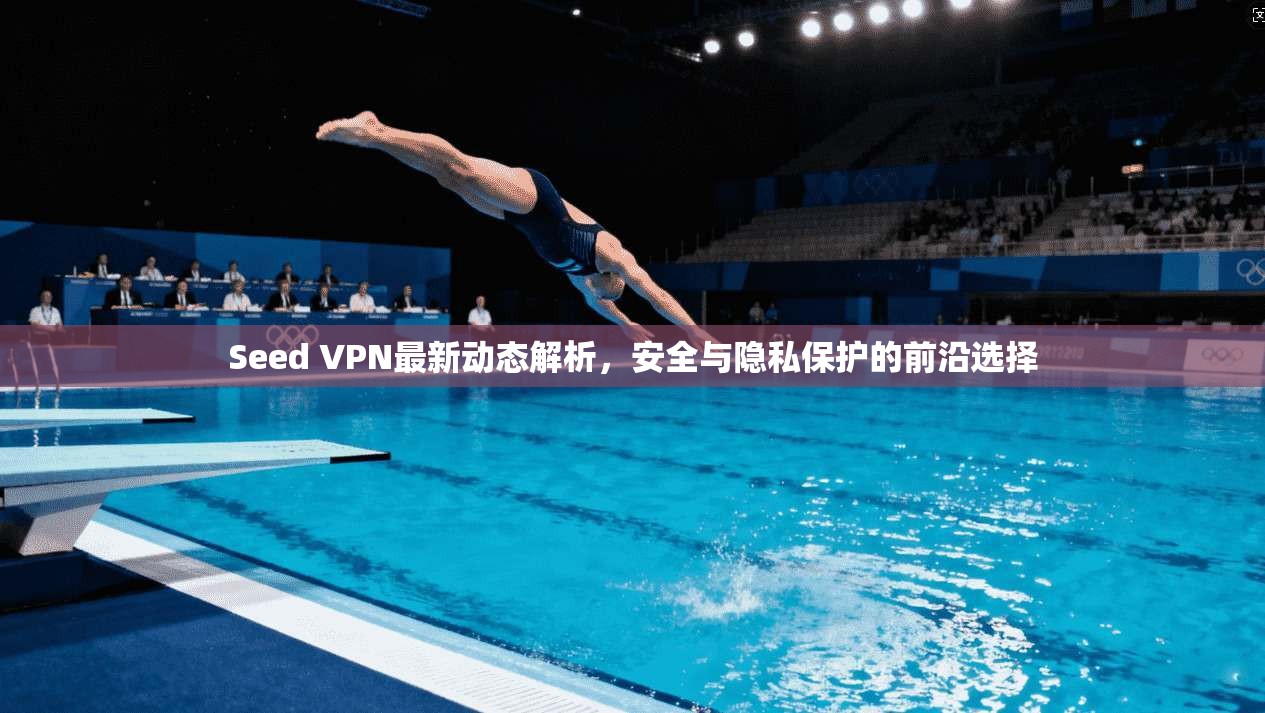 Seed VPN最新动态解析，安全与隐私保护的前沿选择