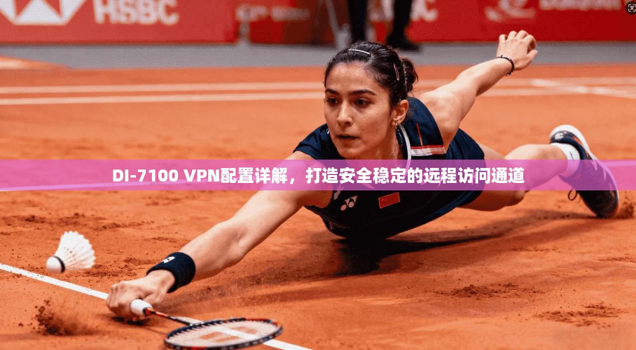 DI-7100 VPN配置详解,打造安全稳定的远程访问通道