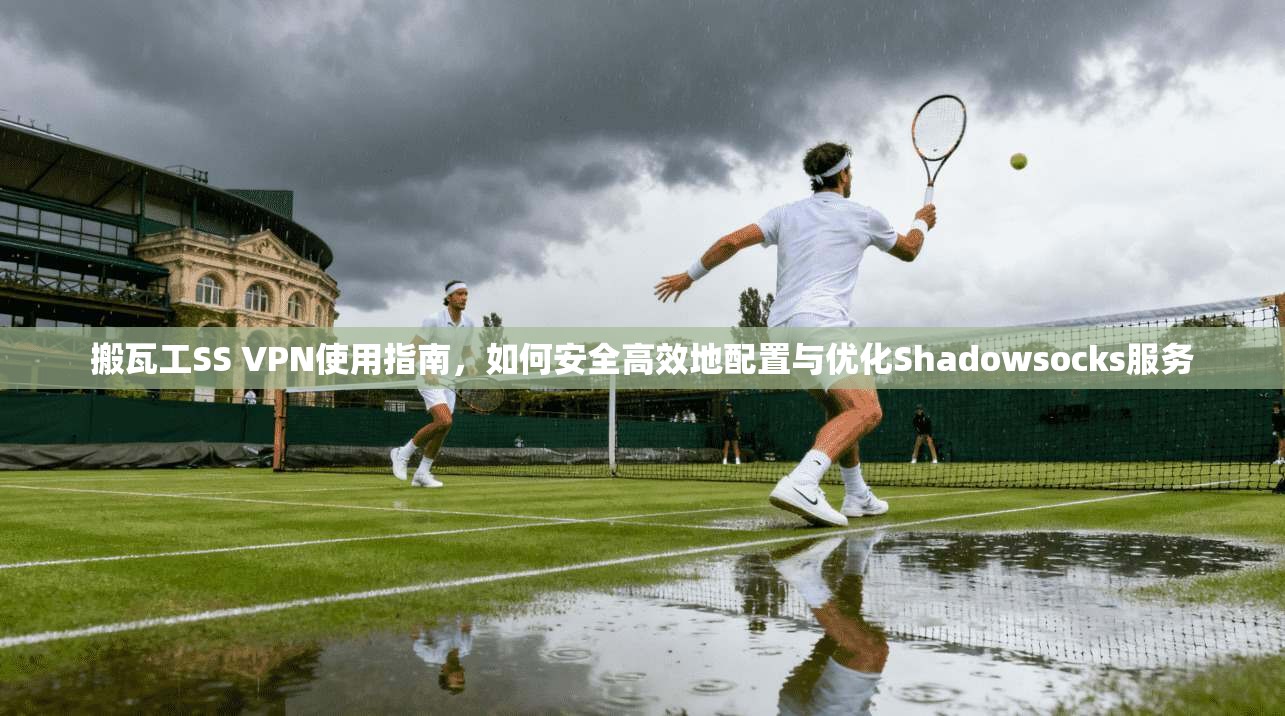 搬瓦工SS VPN使用指南,如何安全高效地配置与优化Shadowsocks服务