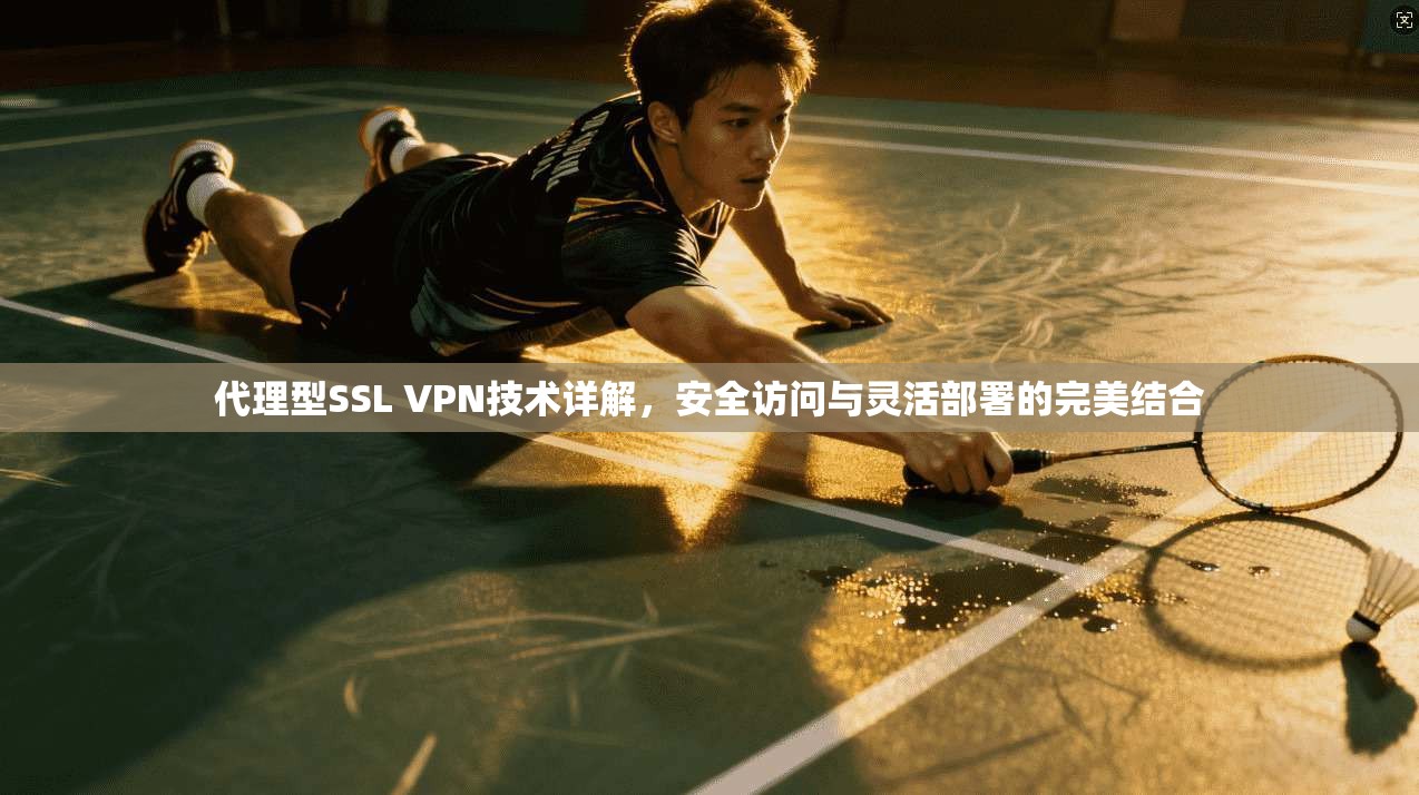 代理型SSL VPN技术详解,安全访问与灵活部署的完美结合