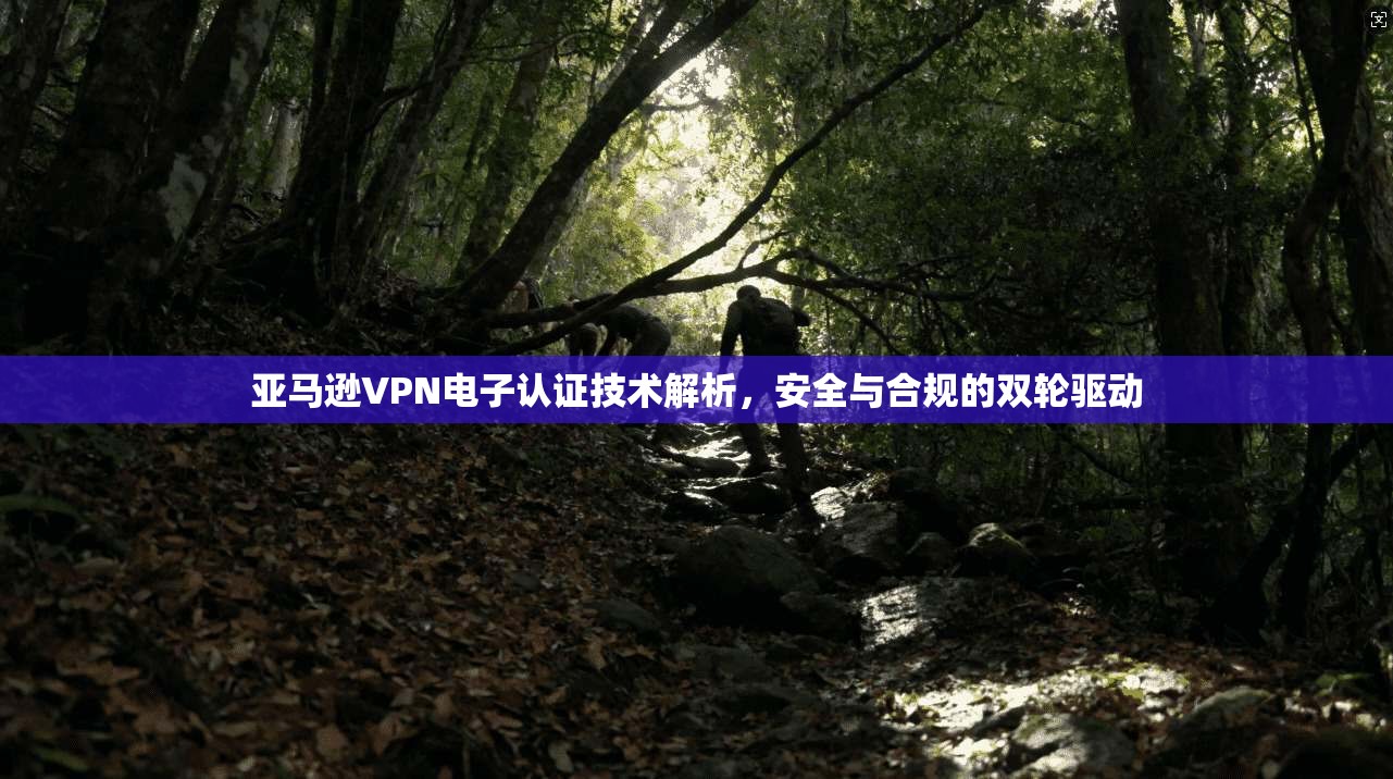 亚马逊VPN电子认证技术解析，安全与合规的双轮驱动