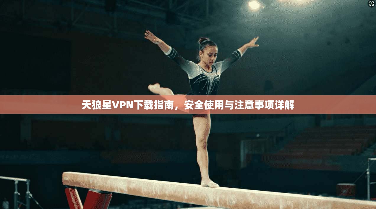 天狼星VPN下载指南，安全使用与注意事项详解