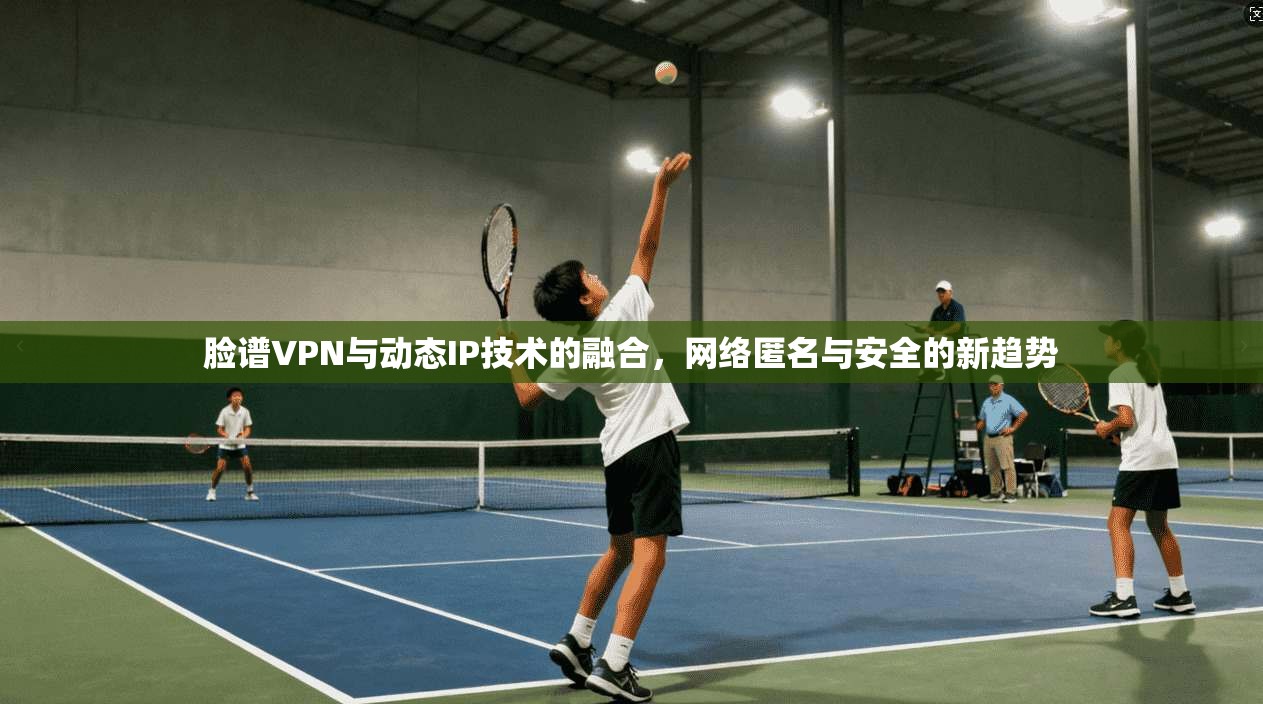脸谱VPN与动态IP技术的融合，网络匿名与安全的新趋势
