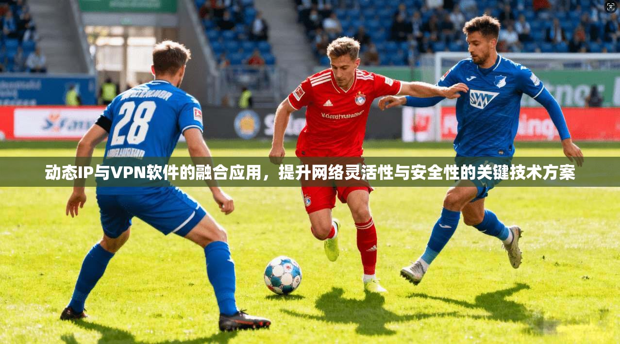 动态IP与VPN软件的融合应用,提升网络灵活性与安全性的关键技术方案