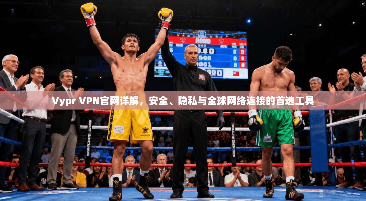 Vypr VPN官网详解,安全、隐私与全球网络连接的首选工具