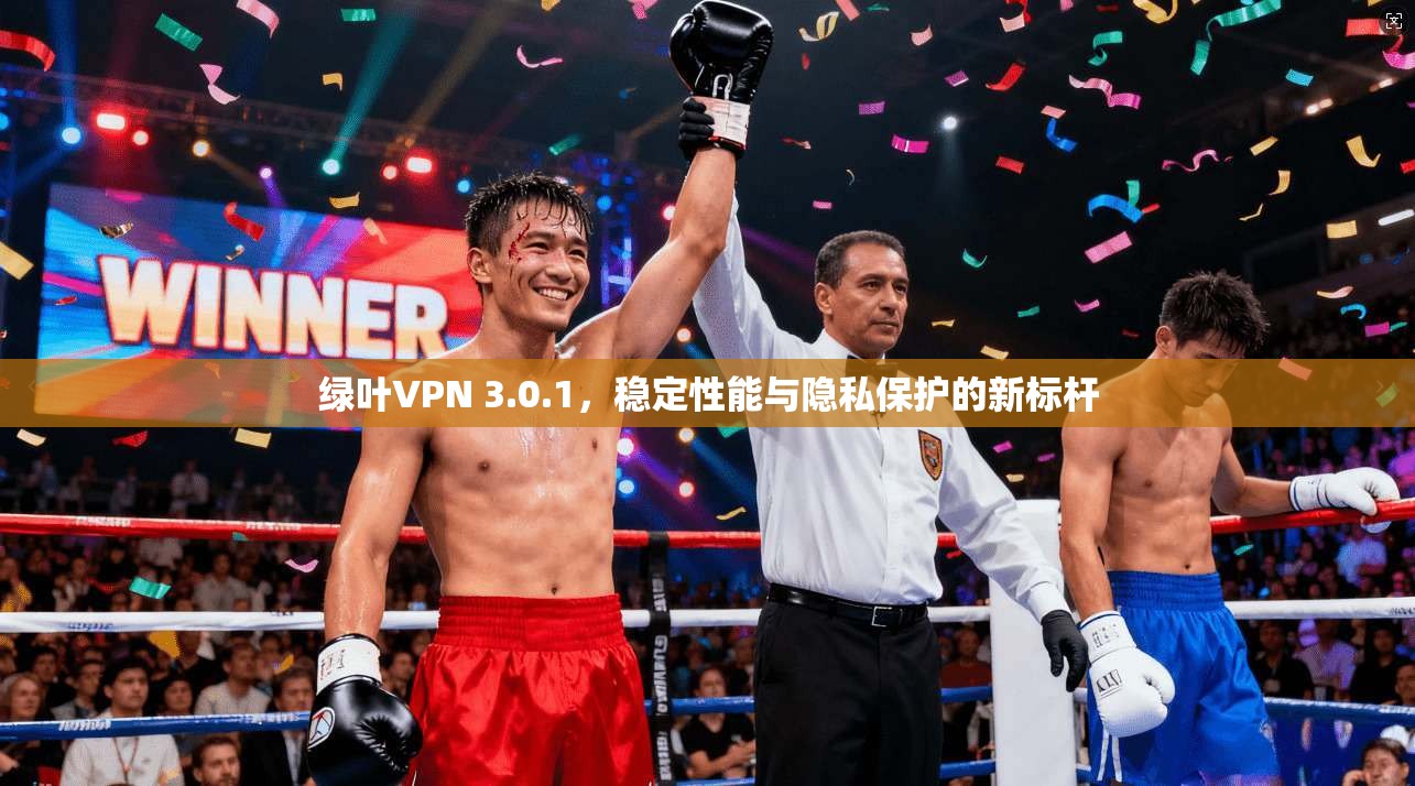 绿叶VPN 3.0.1，稳定性能与隐私保护的新标杆