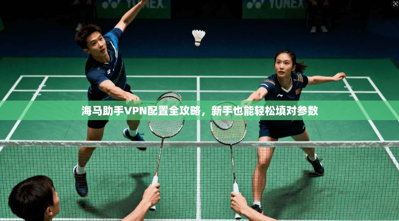 海马助手VPN配置全攻略，新手也能轻松填对参数
