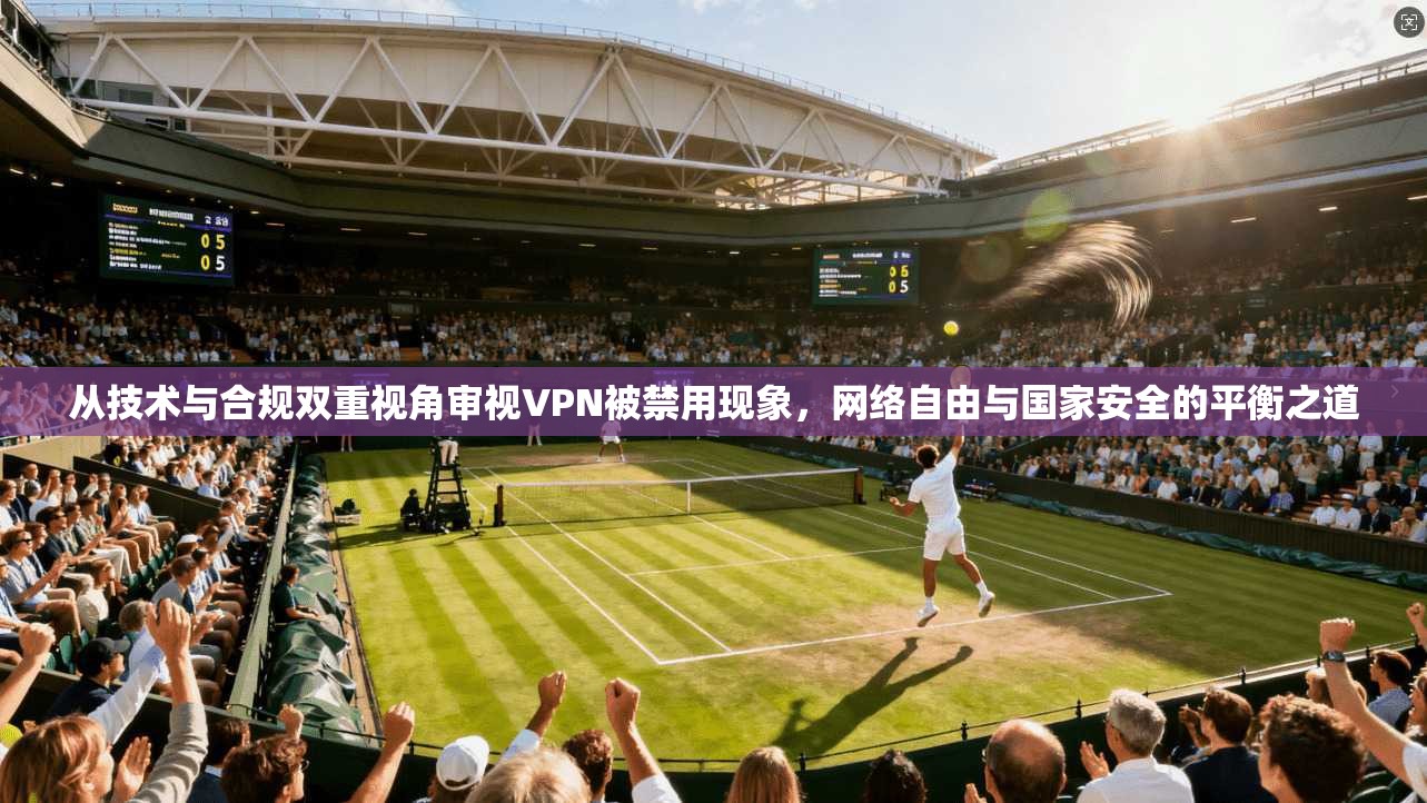 从技术与合规双重视角审视VPN被禁用现象，网络自由与国家安全的平衡之道