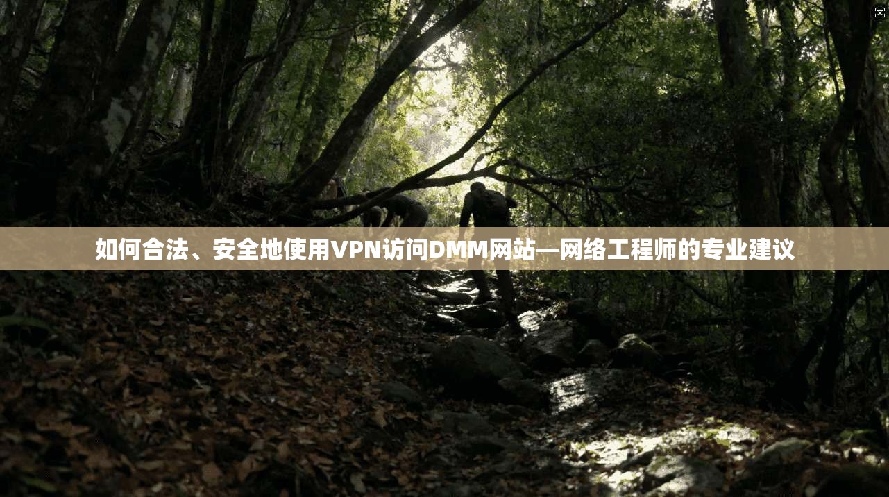 如何合法、安全地使用VPN访问DMM网站—网络工程师的专业建议