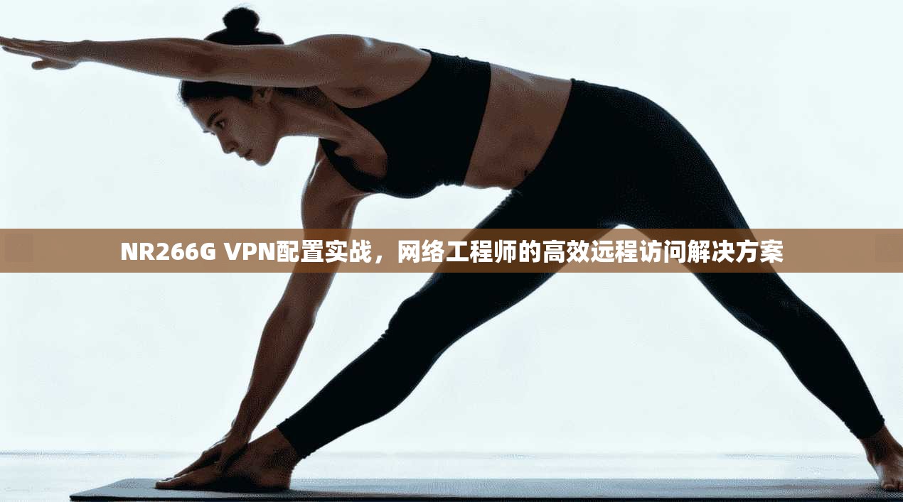 NR266G VPN配置实战,网络工程师的高效远程访问解决方案