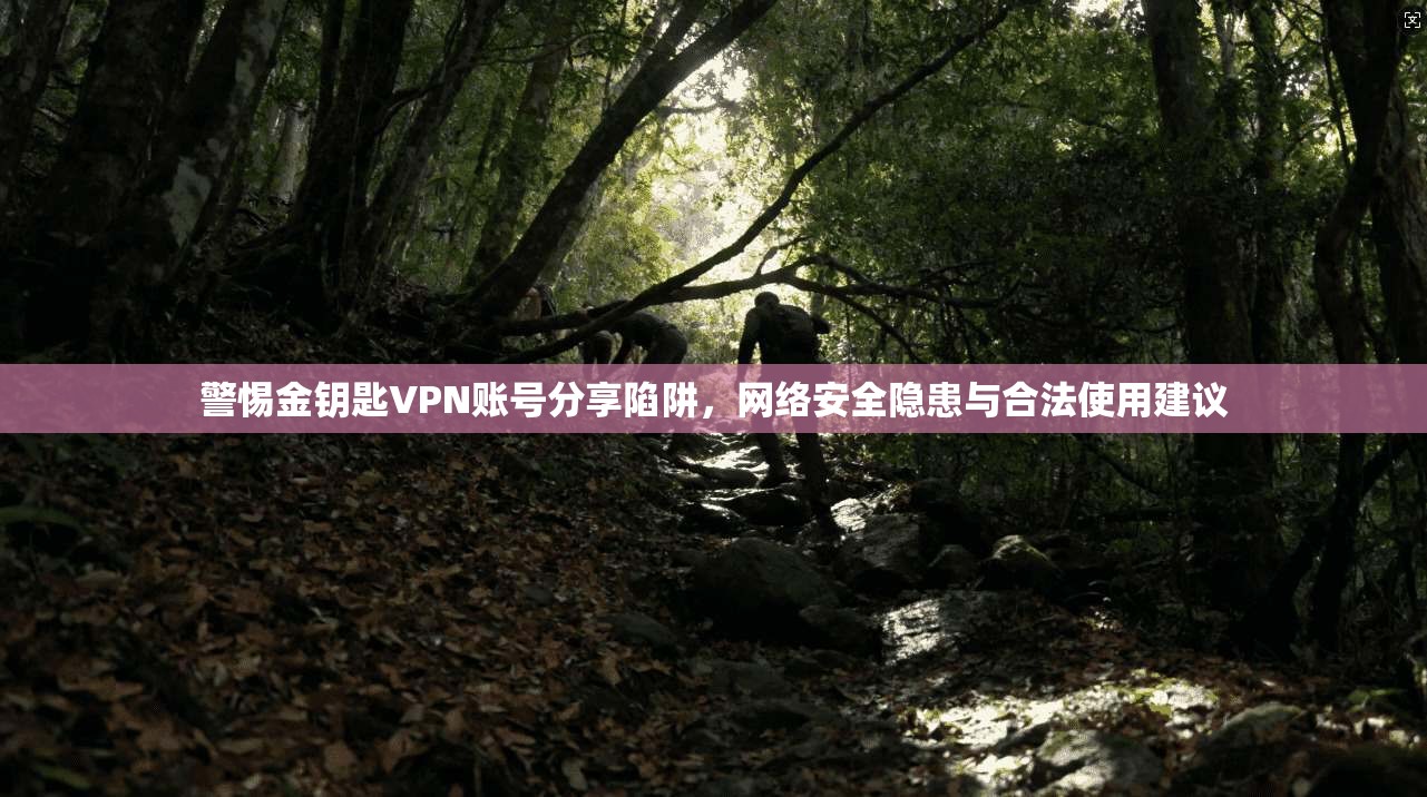 警惕金钥匙VPN账号分享陷阱,网络安全隐患与合法使用建议