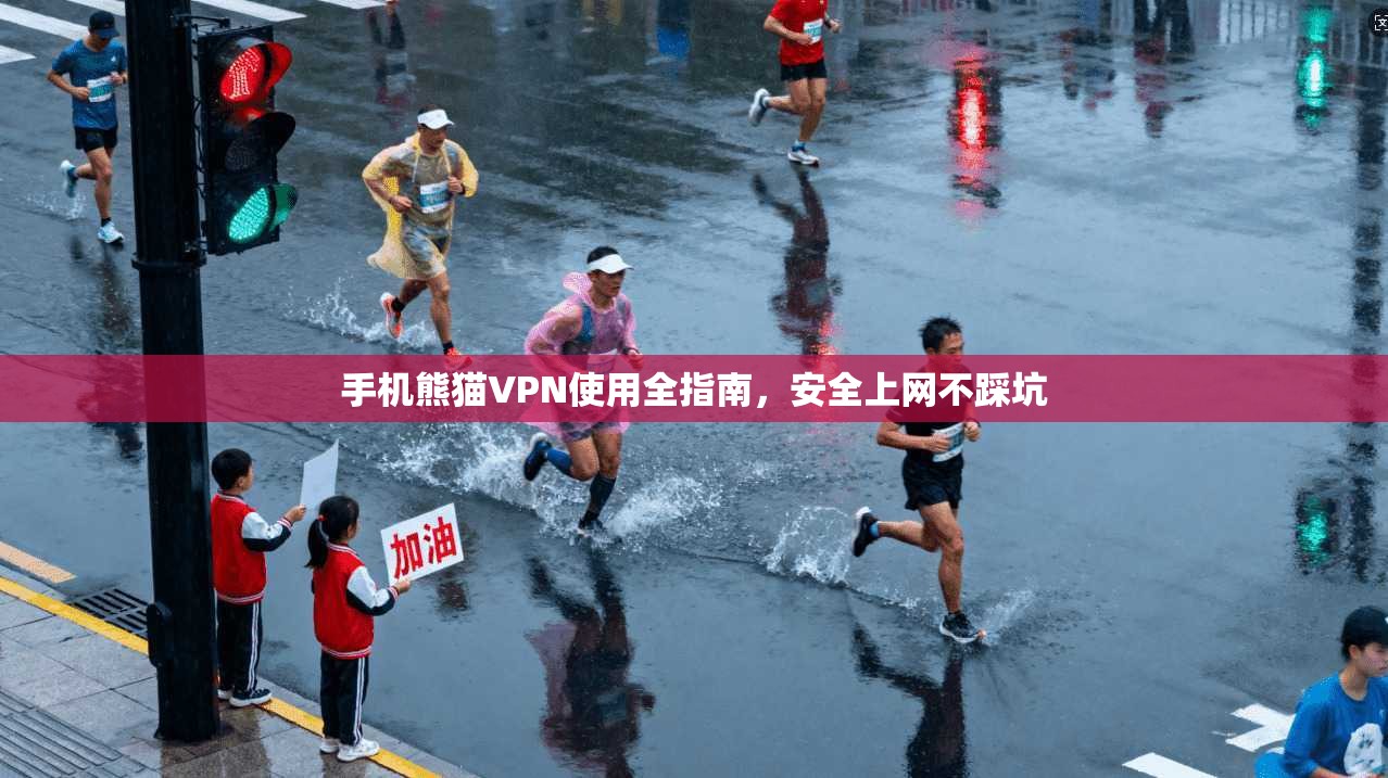 手机熊猫VPN使用全指南，安全上网不踩坑