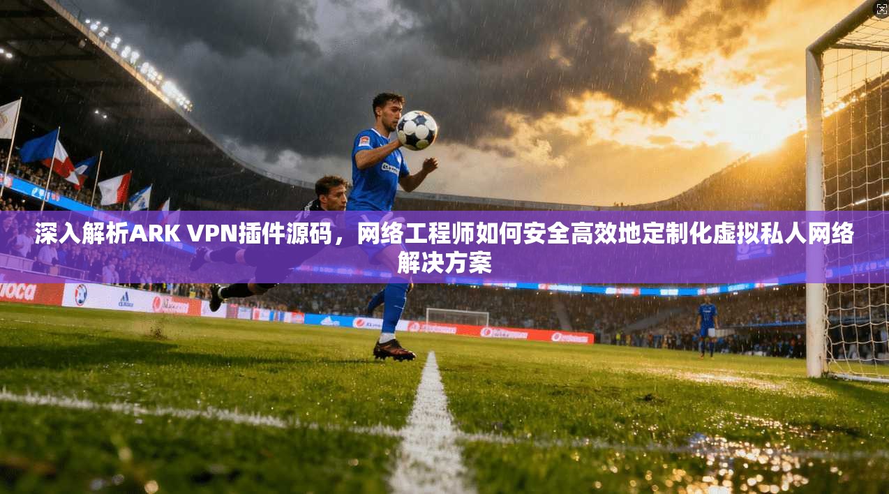深入解析ARK VPN插件源码,网络工程师如何安全高效地定制化虚拟私人网络解决方案