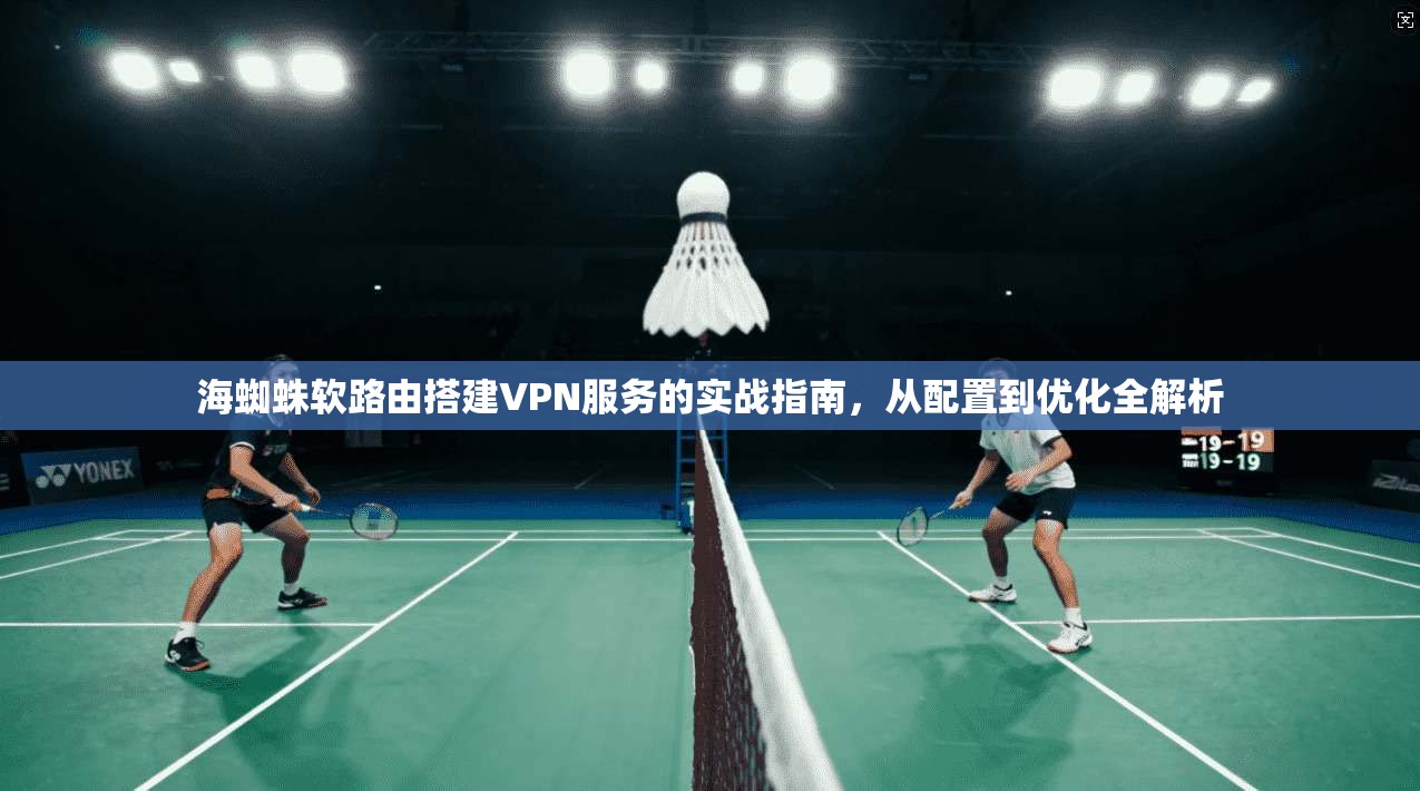 海蜘蛛软路由搭建VPN服务的实战指南,从配置到优化全解析