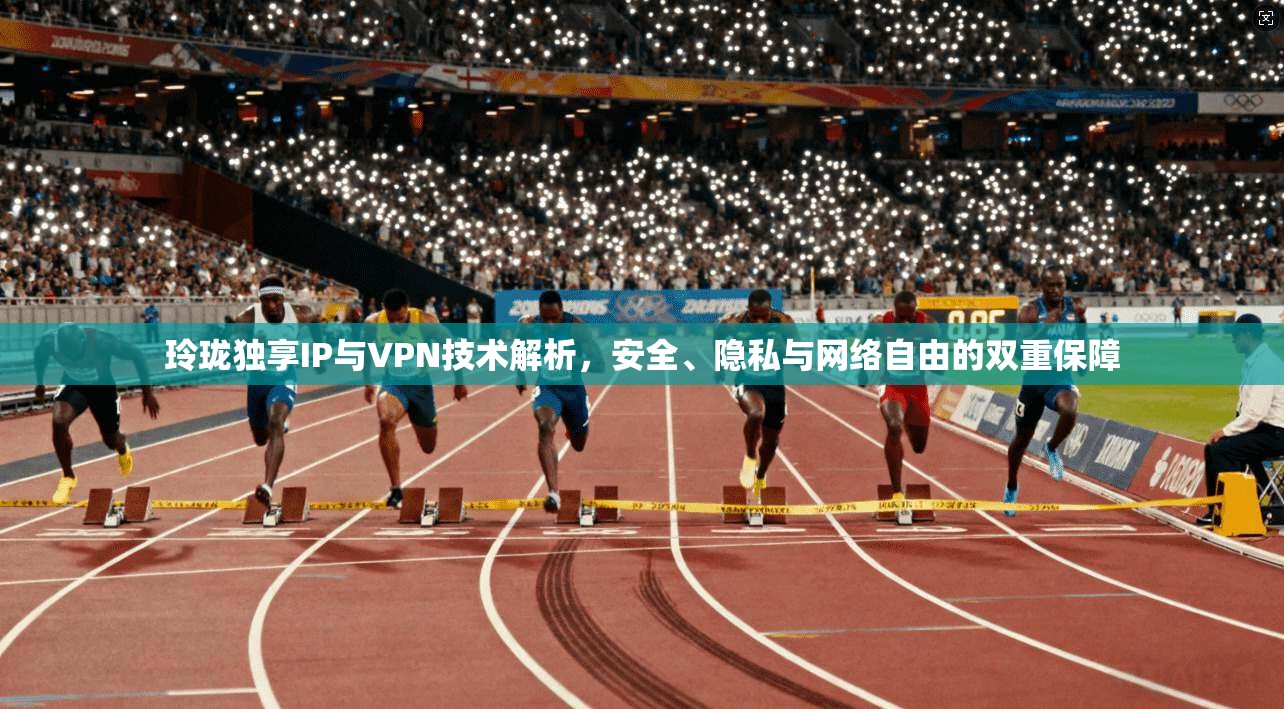 玲珑独享IP与VPN技术解析，安全、隐私与网络自由的双重保障