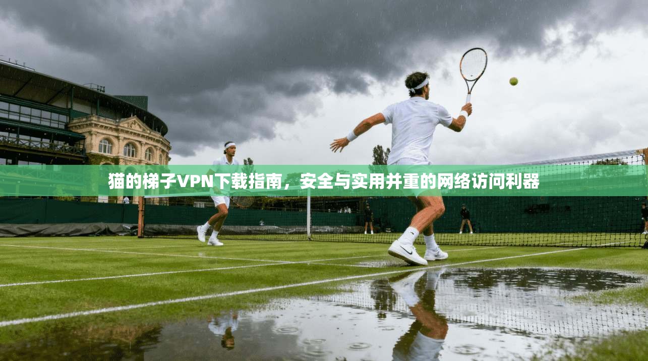 猫的梯子VPN下载指南，安全与实用并重的网络访问利器