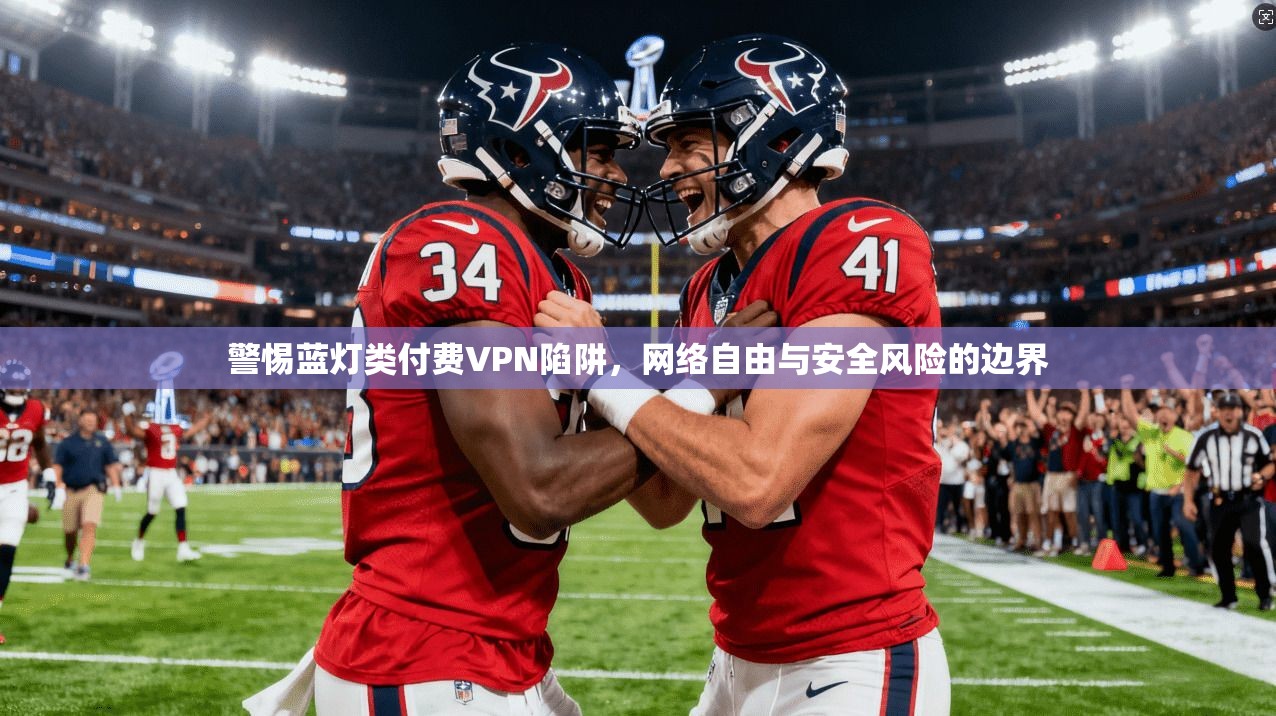 警惕蓝灯类付费VPN陷阱,网络自由与安全风险的边界