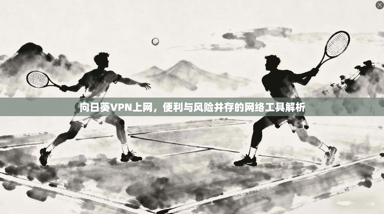 向日葵VPN上网,便利与风险并存的网络工具解析